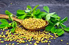 fenugreek