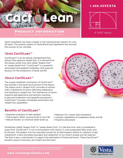 Cactus fruit brochure